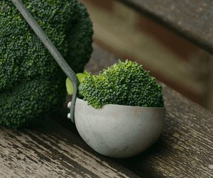 브로콜리 100g 칼로리와 영양성분, 식단에서 자주 보는 이유