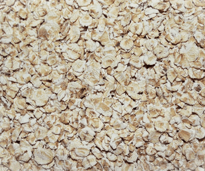 오트밀 100g 칼로리와 탄수화물, 식단에서 먼저 볼 기준